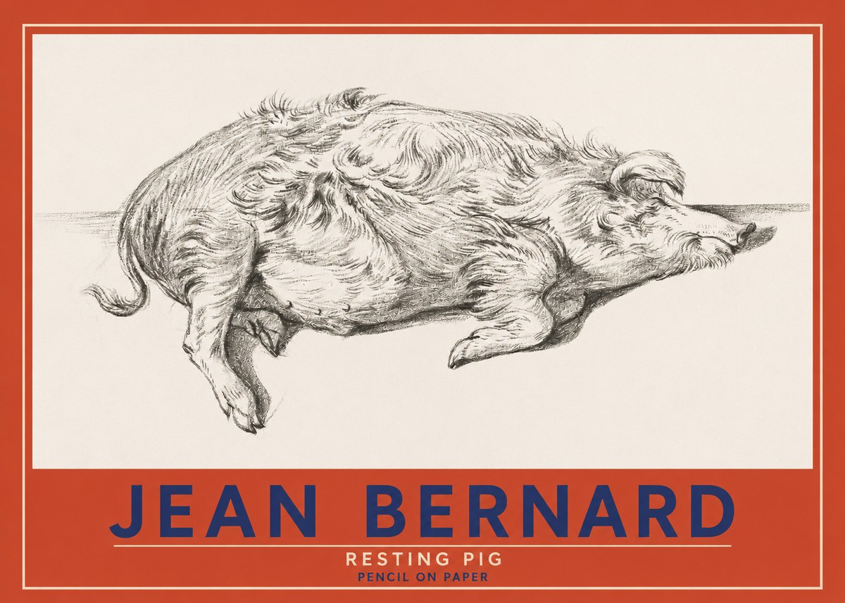 Jean Bernard Study of a Pig I No4 - Affiche