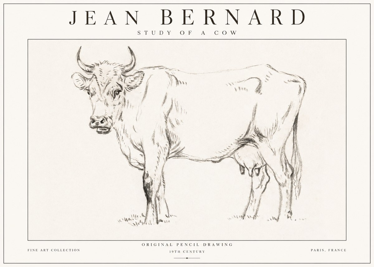 Jean Bernard Study of a Cow VI No1 - Affiche