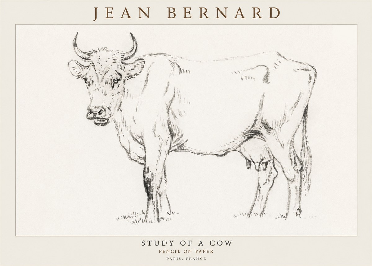 Jean Bernard Study of a Cow VI No3 - Affiche
