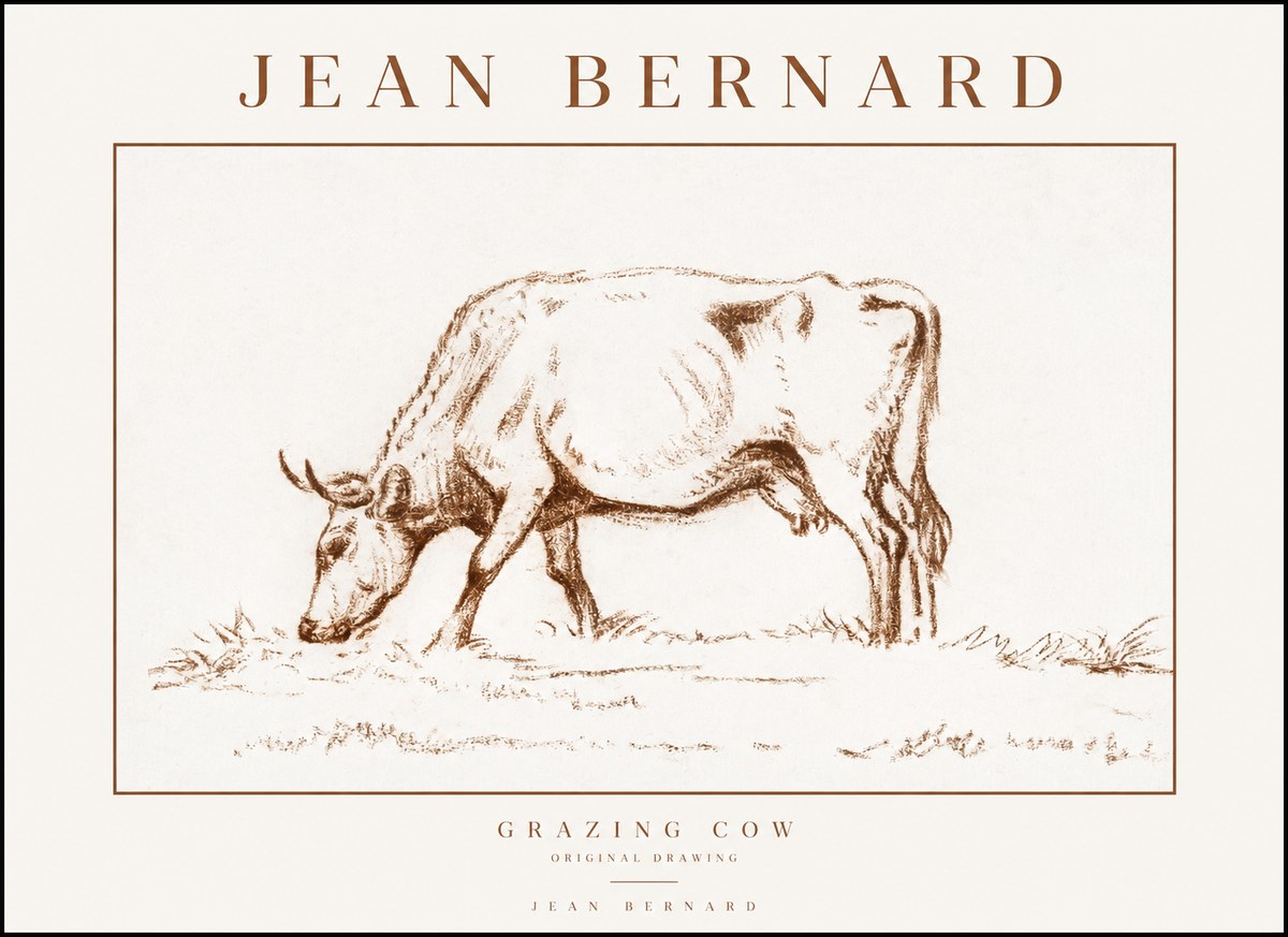 Jean Bernard Grazing Cow II No1 - Affiche