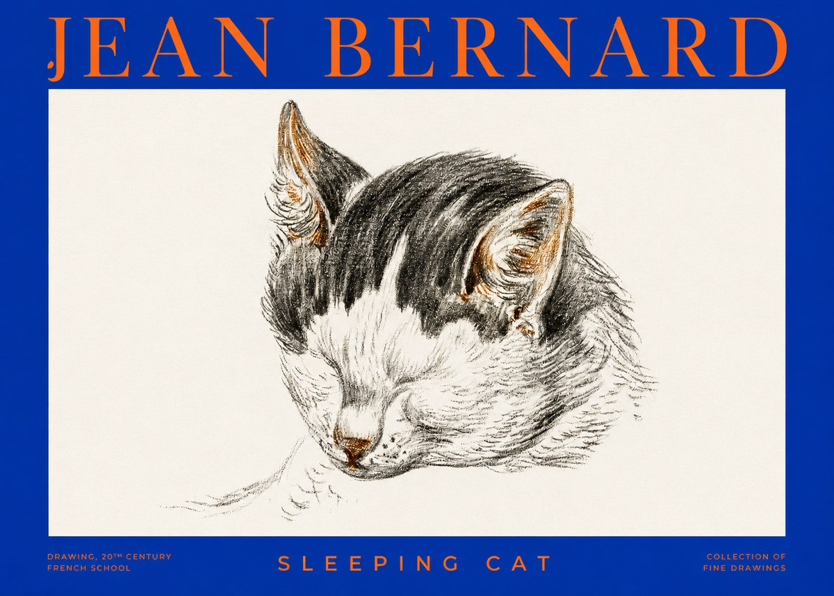 Jean Bernard Sleeping Cat V No2 - Affiche