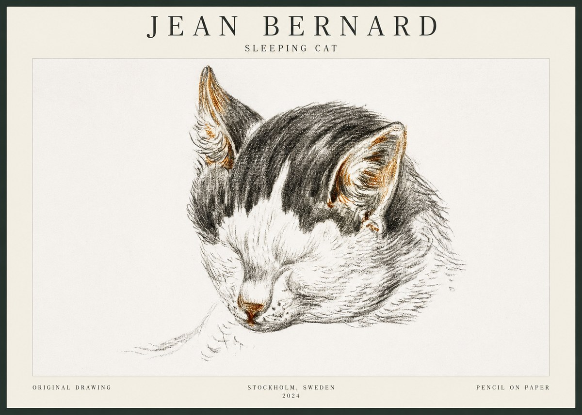 Jean Bernard Sleeping Cat V No3 - Affiche