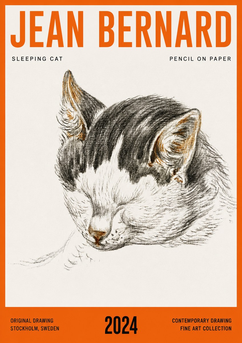 Jean Bernard Sleeping Cat V No4 - Affiche