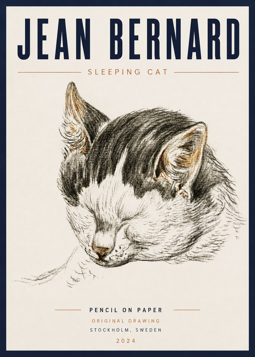 Jean Bernard Sleeping Cat V No5 - Affiche