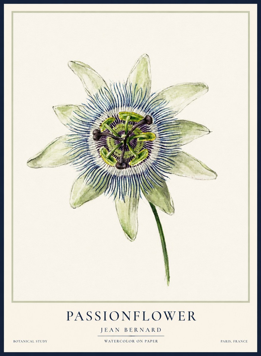 Jean Bernard Passionflower No2 - Affiche