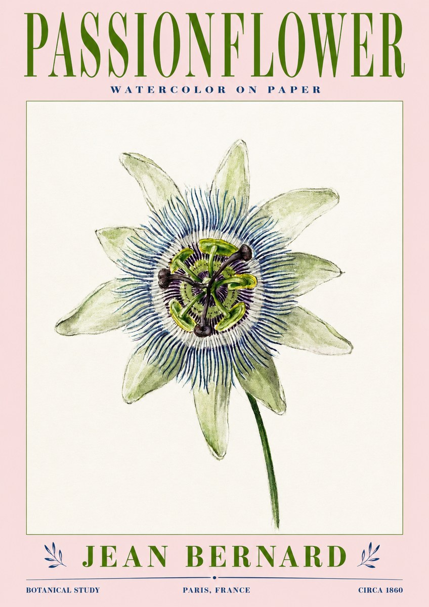 Jean Bernard Passionflower No3 - Affiche