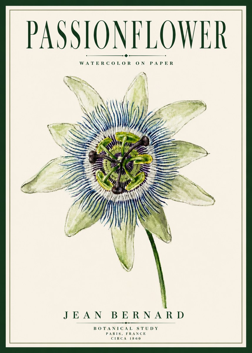 Jean Bernard Passionflower No5 - Affiche
