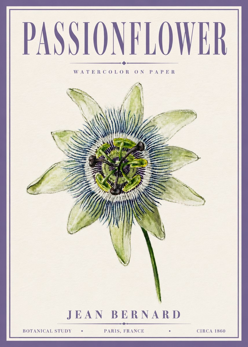 Jean Bernard Passionflower No6 - Affiche