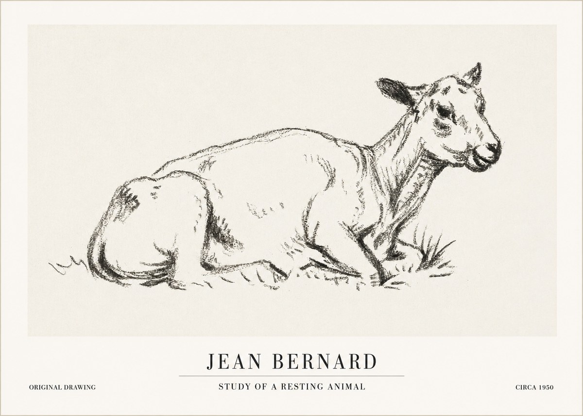 Jean Bernard Study of a Resting Animal No1 - Affiche