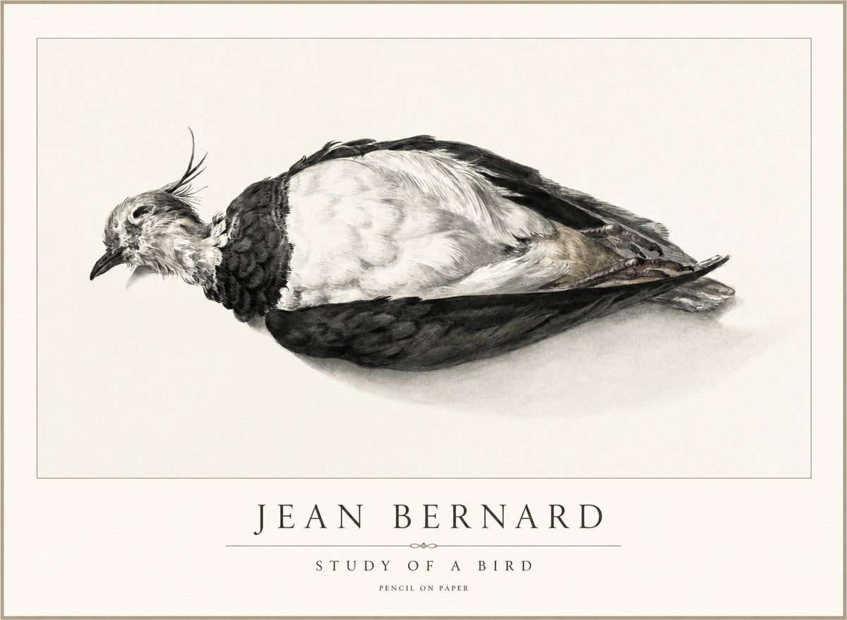 Jean Bernard Study of a Bird II No2 - Affiche