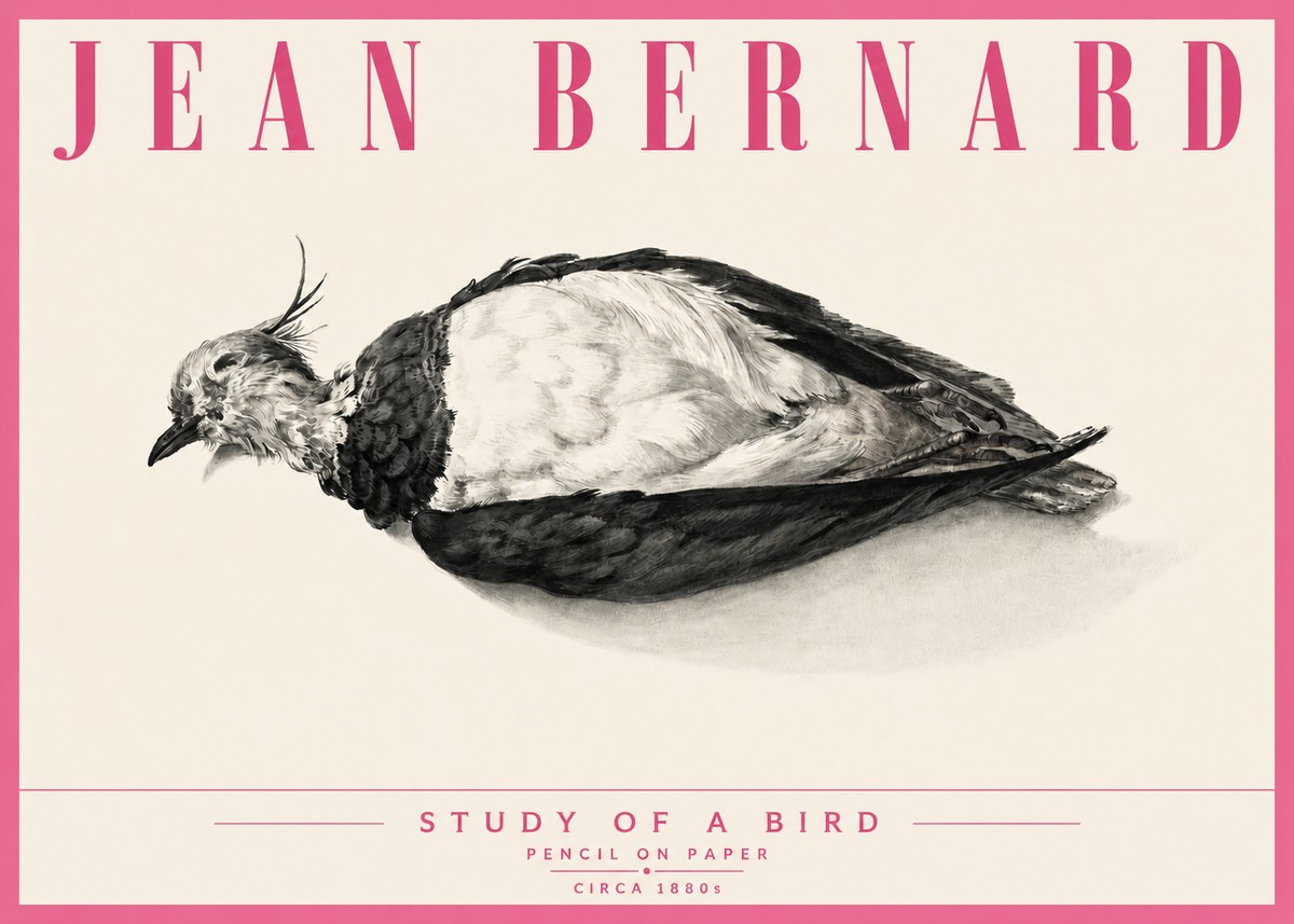 Jean Bernard Study of a Bird II No6 - Affiche