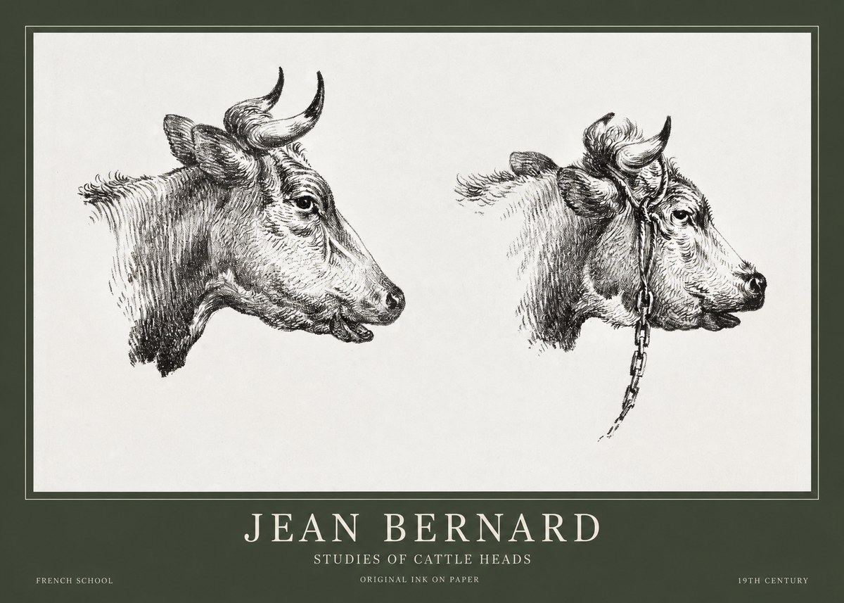Jean Bernard Studies of Cattle Heads No1 - Affiche