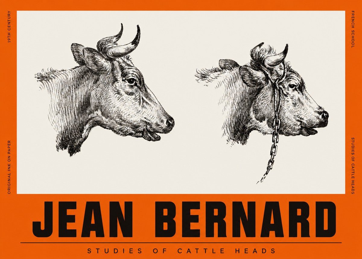 Jean Bernard Studies of Cattle Heads No2 - Affiche