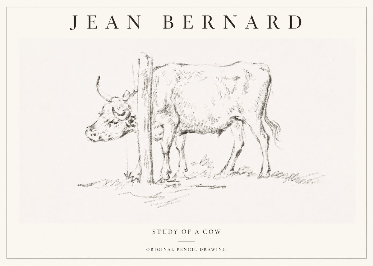 Jean Bernard Study of a Cow VII No1 - Affiche