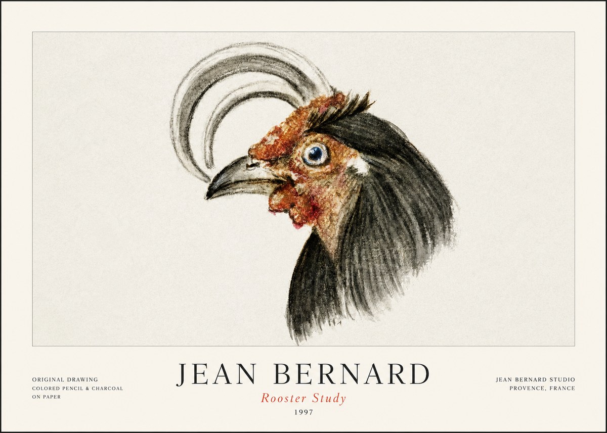 Jean Bernard Rooster Study No1 - Affiche