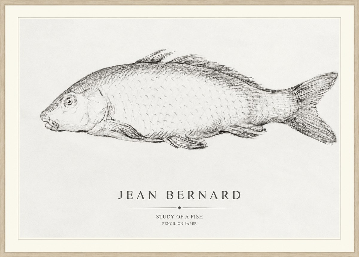 Jean Bernard Study of a Fish III No1 - Affiche