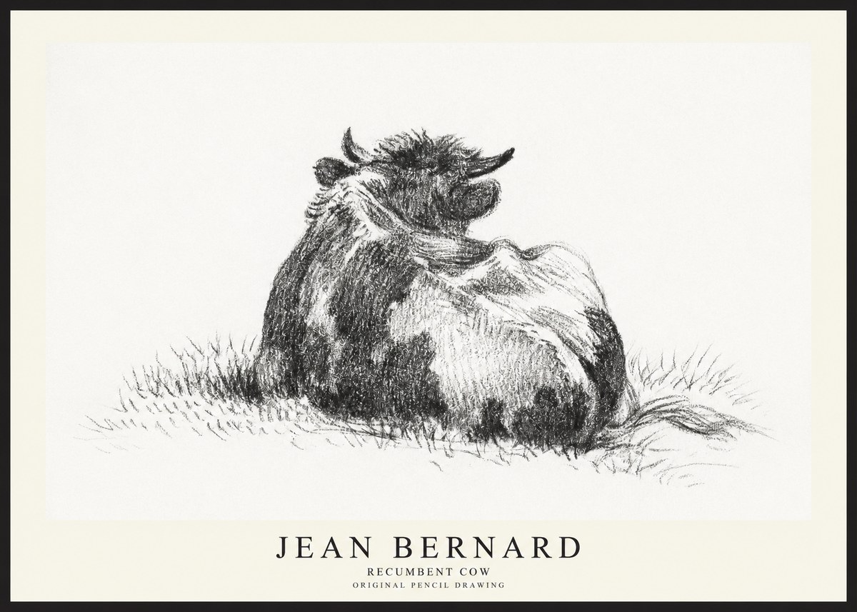Jean Bernard Resting Highland Cow No3 - Affiche