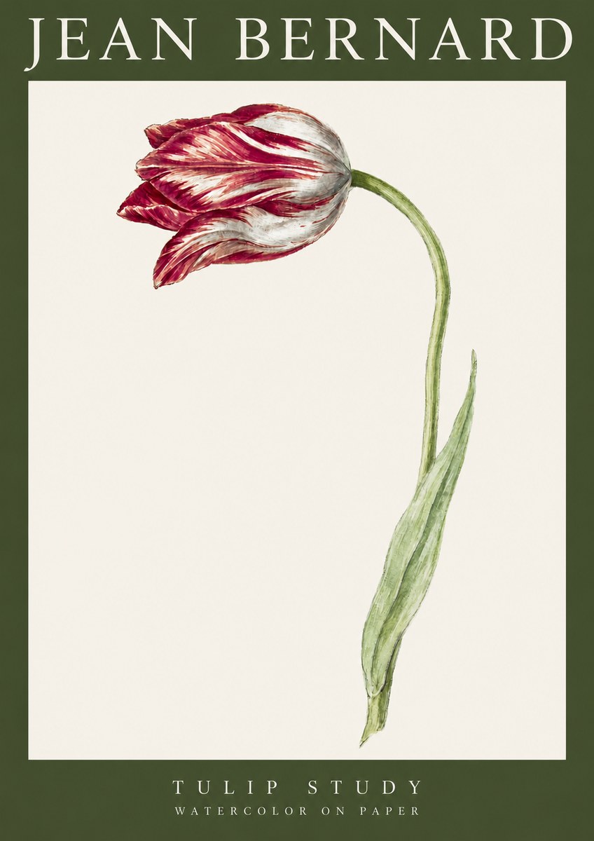 Jean Bernard Tulip Study No3 - Affiche