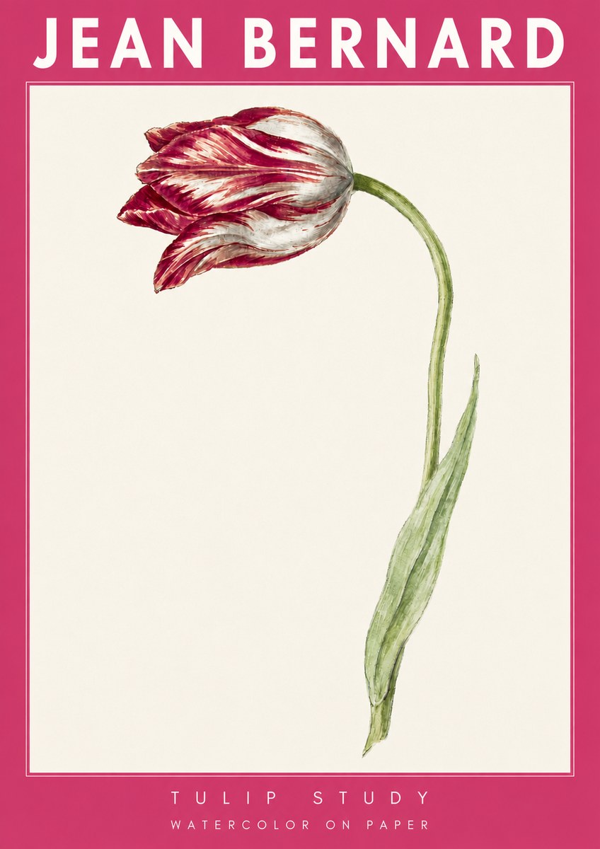Jean Bernard Tulip Study No4 - Affiche