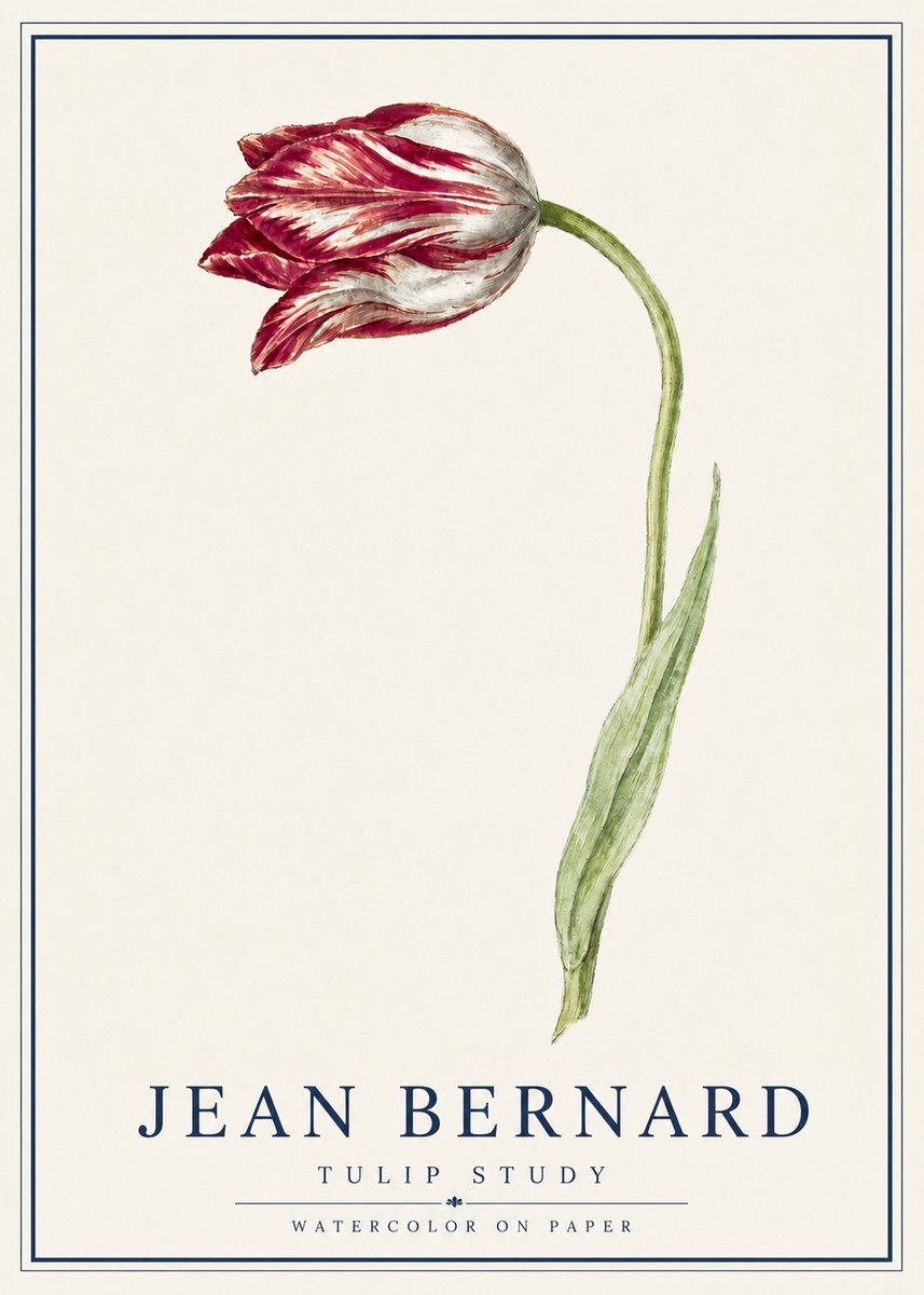 Jean Bernard Tulip Study No5 - Affiche