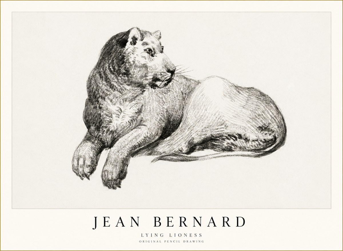 Jean Bernard Lying Lioness No1 - Affiche