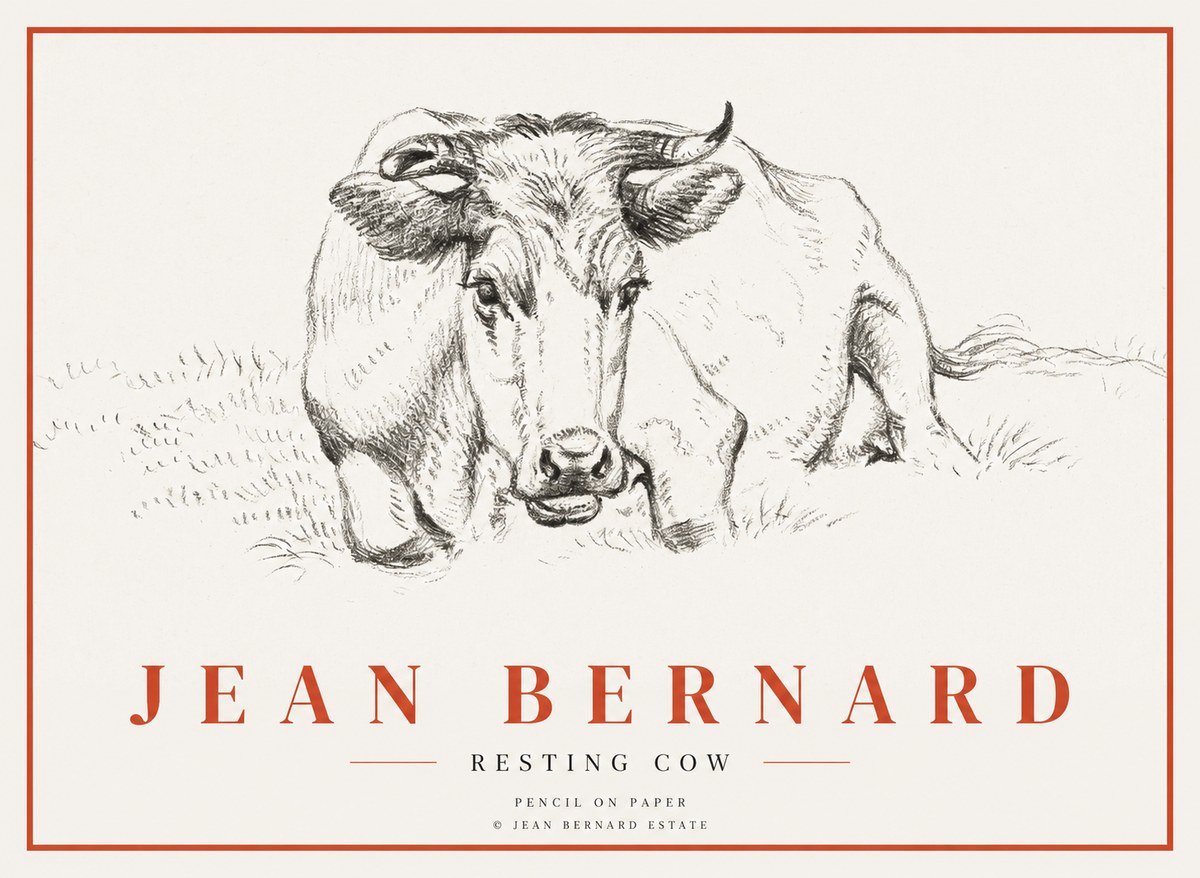 Jean Bernard Resting Cow II No3 - Affiche
