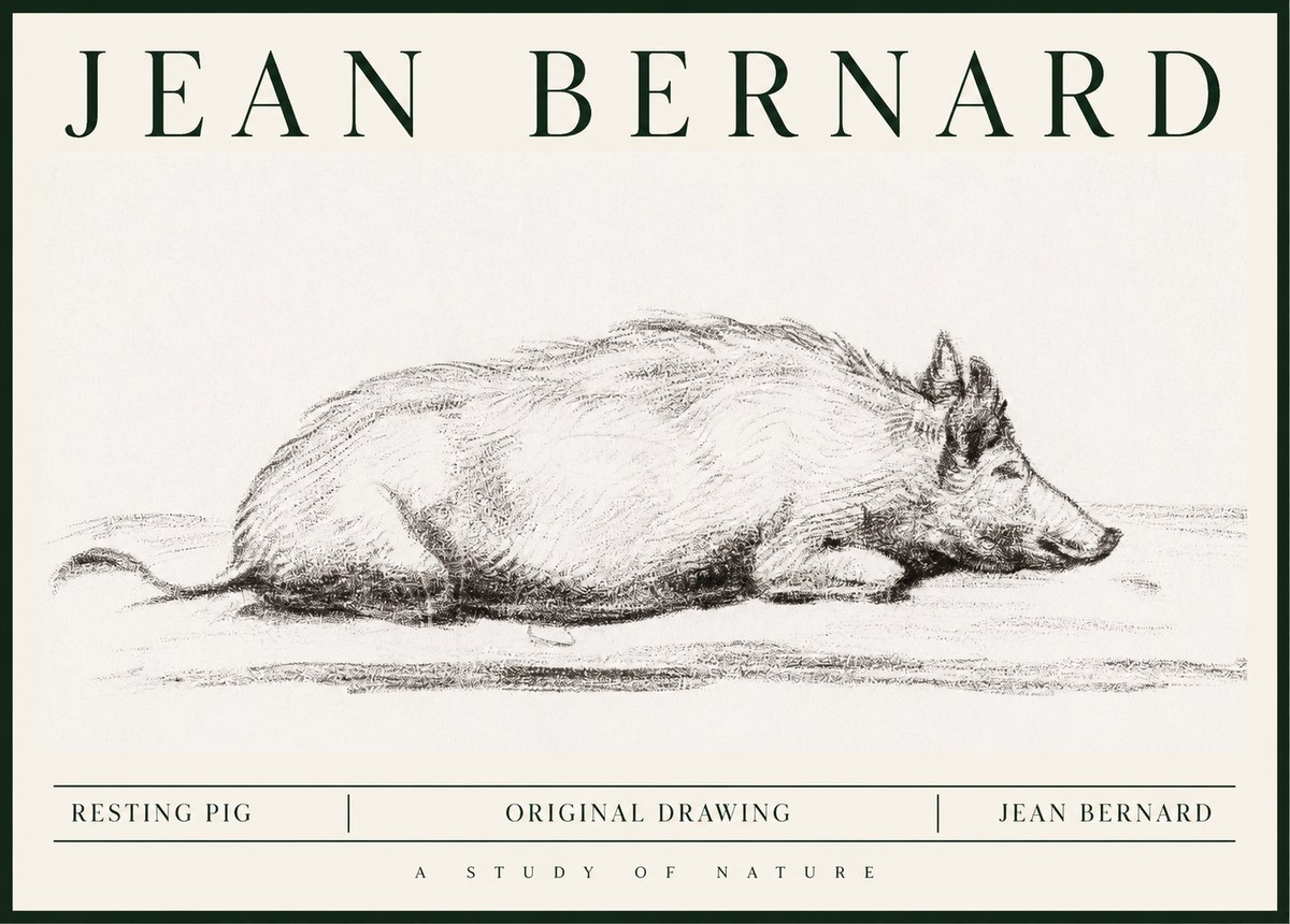 Jean Bernard Resting Pig I No1 - Affiche