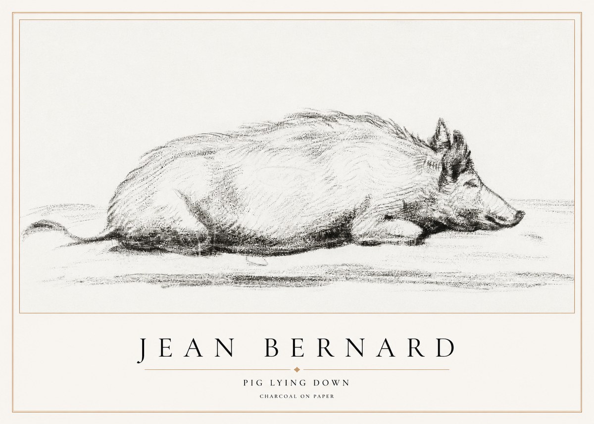 Jean Bernard Resting Pig I No2 - Affiche