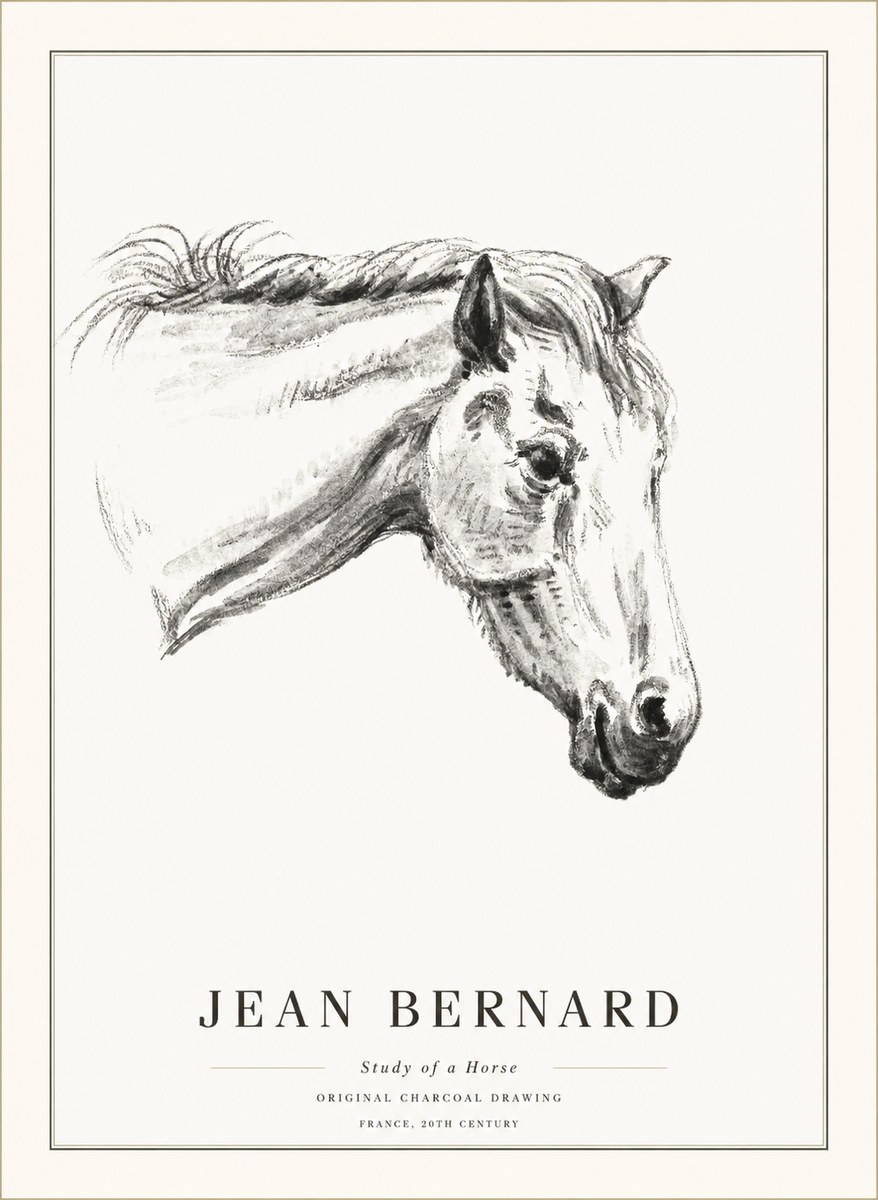 Jean Bernard Study of a Horse VIII No5 - Affiche