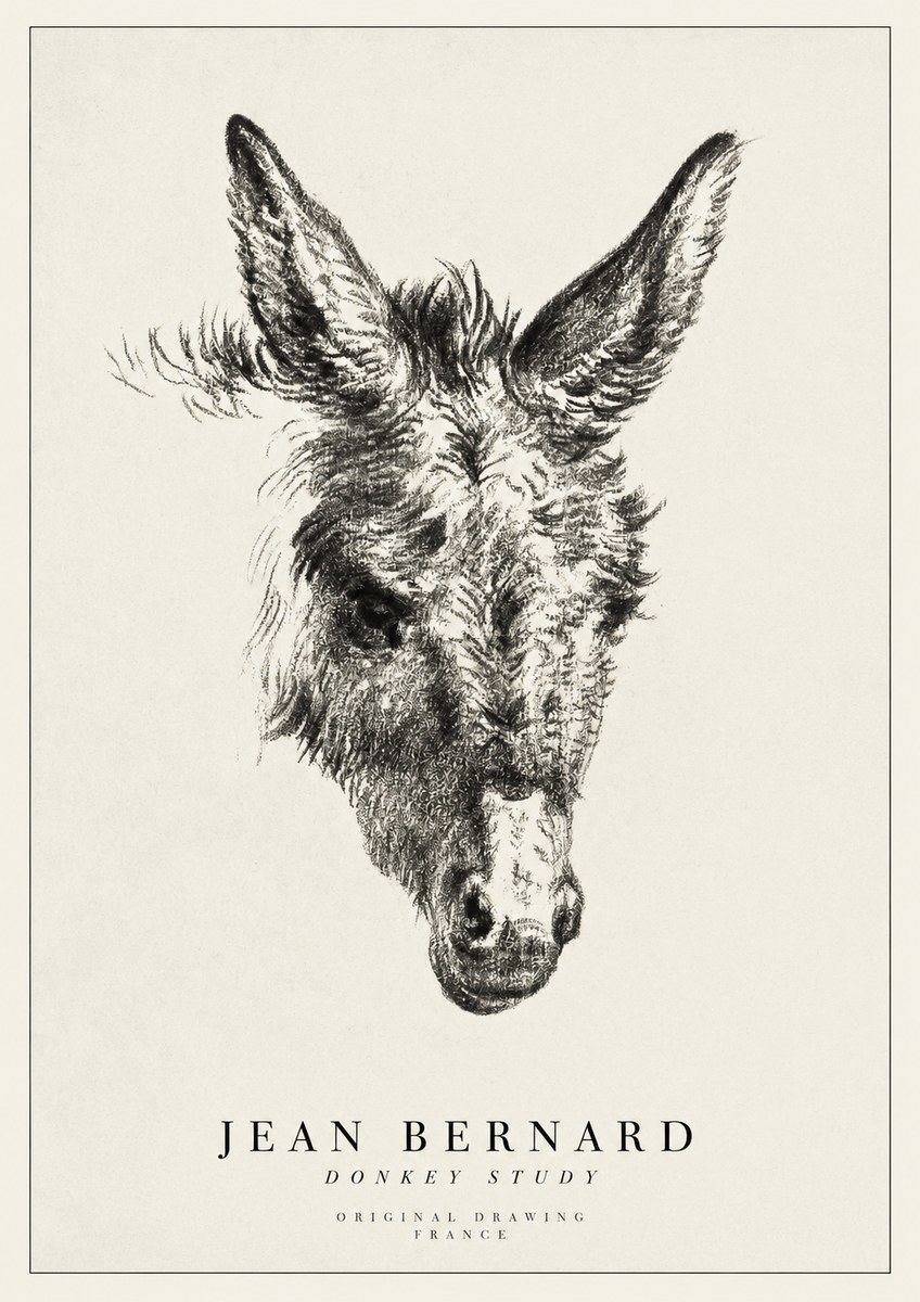Jean Bernard Donkey Study IV No1 - Affiche