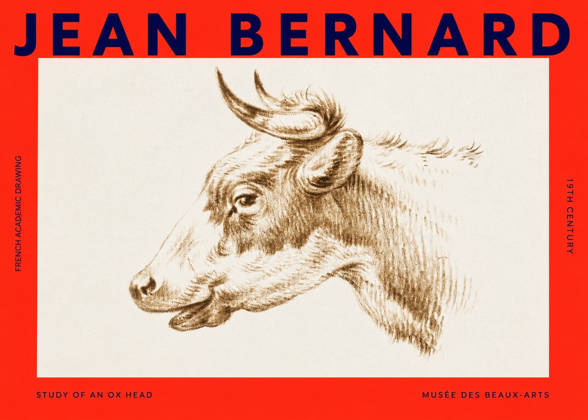 Jean Bernard Bovine Study II No4 - Affiche