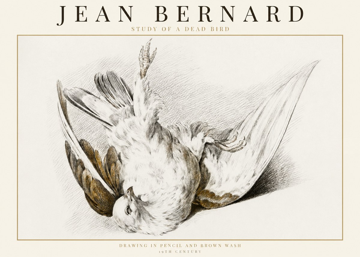 Jean Bernard Study of a Dead Bird No1 - Affiche