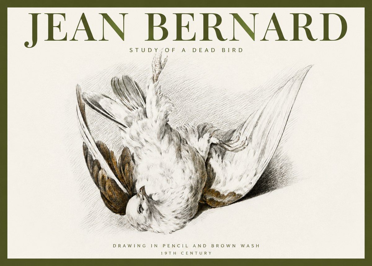 Jean Bernard Study of a Dead Bird No2 - Affiche