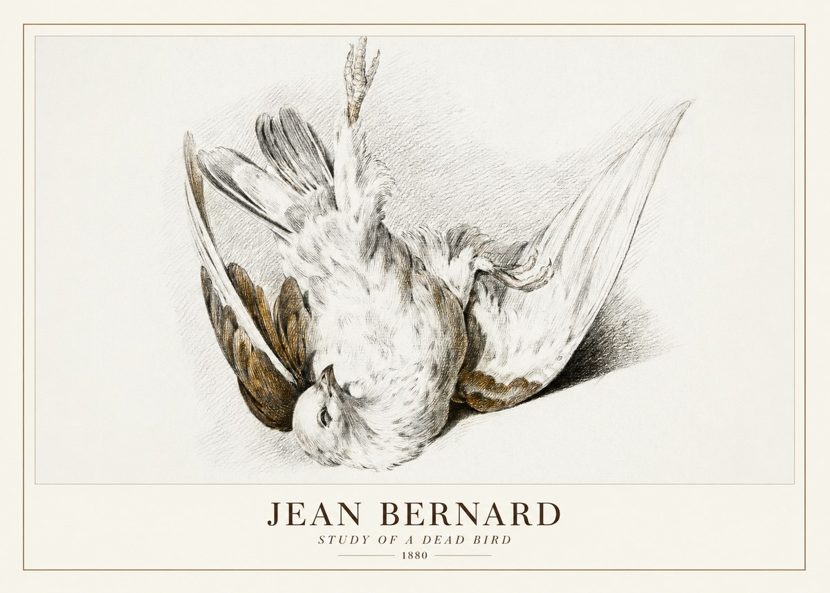 Jean Bernard Study of a Dead Bird No3 - Affiche