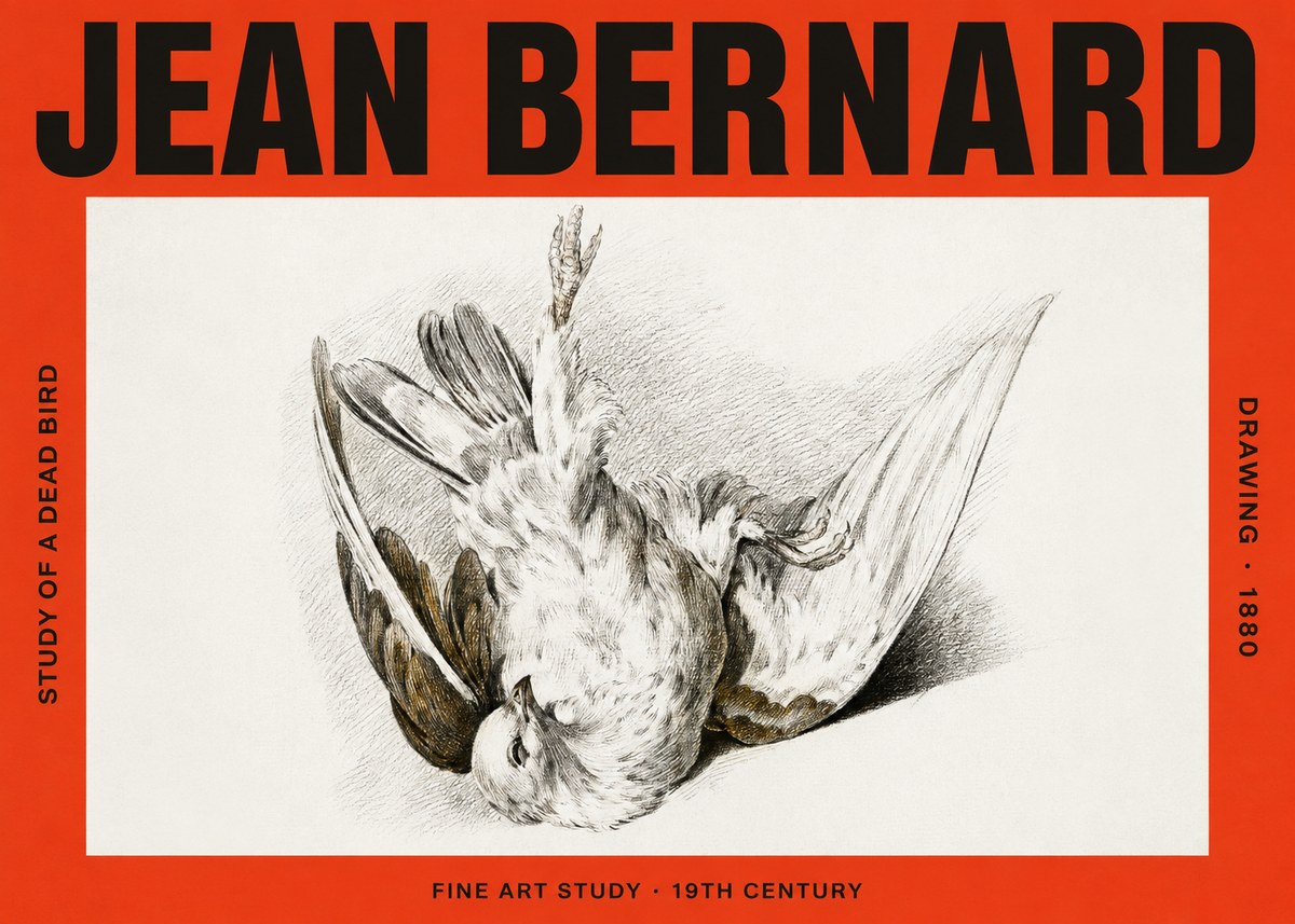 Jean Bernard Study of a Dead Bird No4 - Affiche