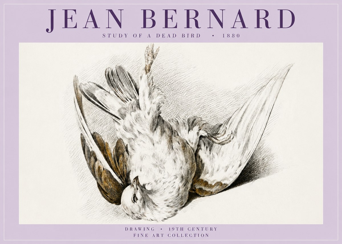 Jean Bernard Study of a Dead Bird No5 - Affiche