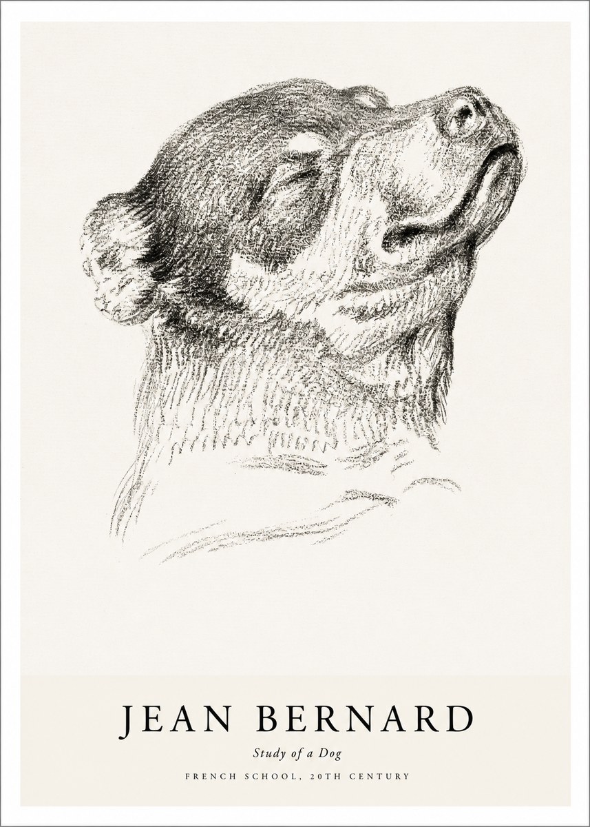 Jean Bernard Study of a Dog III No1 - Affiche