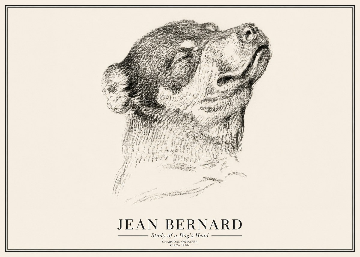 Jean Bernard Study of a Dog III No3 - Affiche