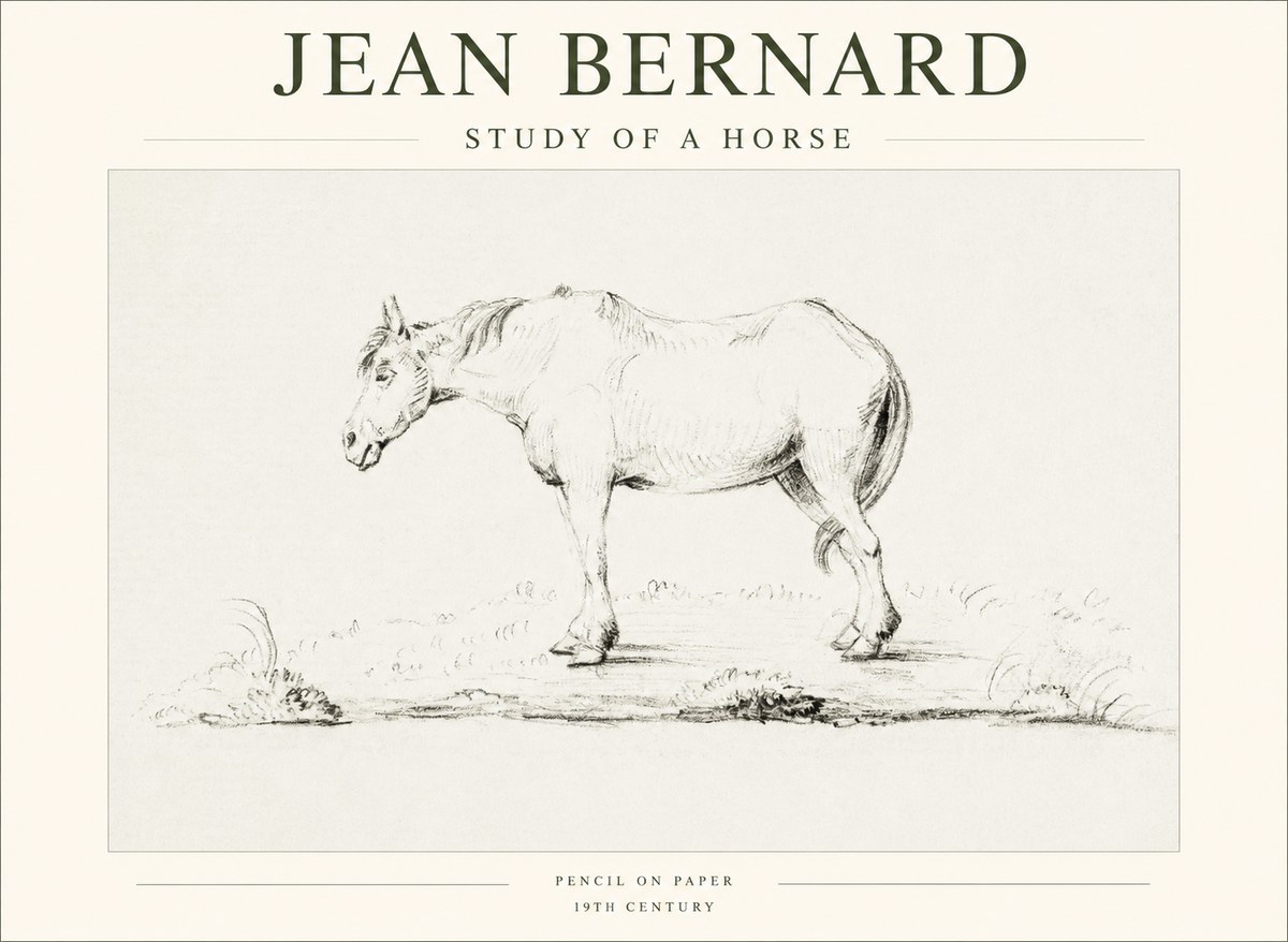 Jean Bernard Study of a Horse IX No1 - Affiche