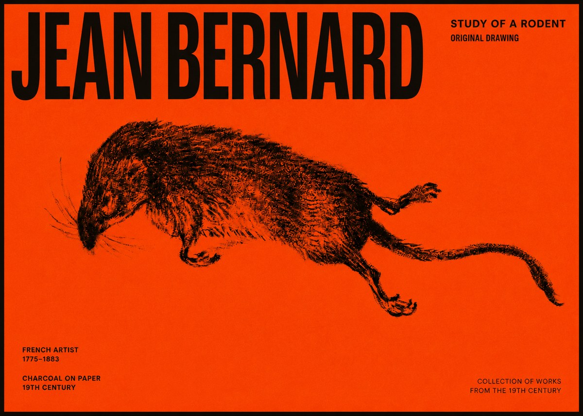 Jean Bernard Study of a Rat II No6 - Affiche