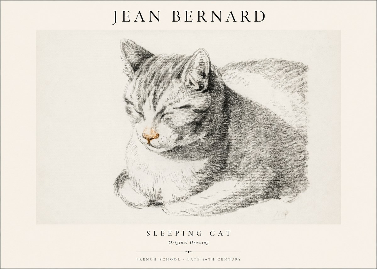 Jean Bernard Sleeping Cat VI No1 - Affiche