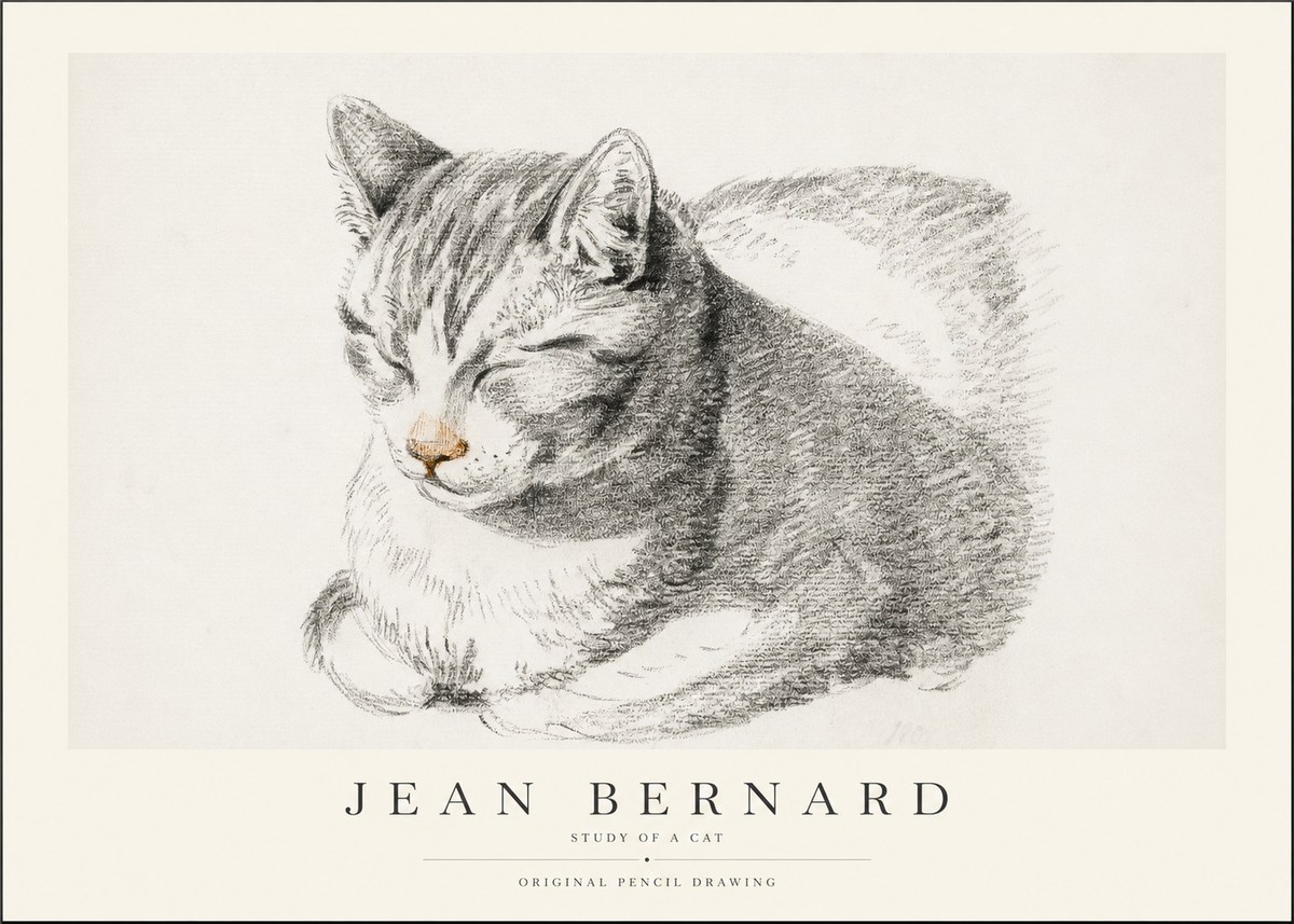 Jean Bernard Sleeping Cat VI No2 - Affiche