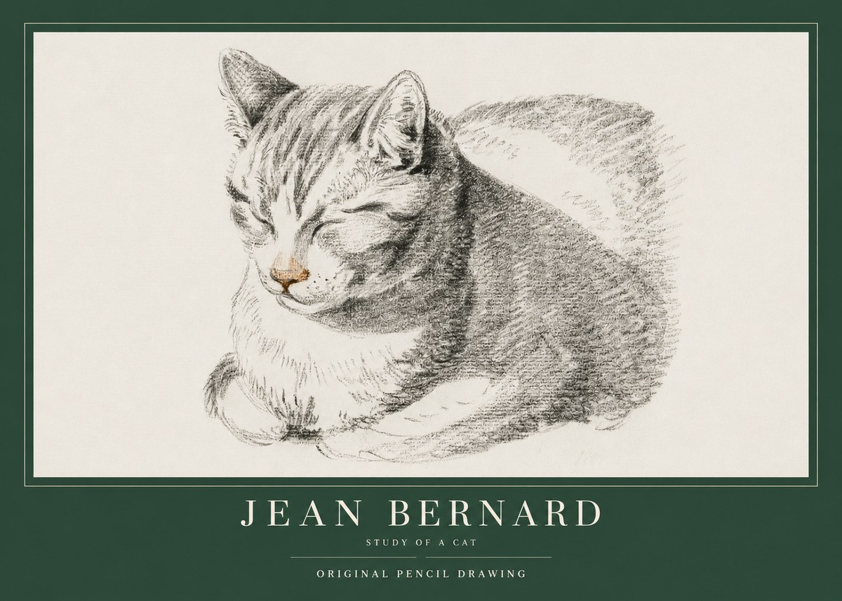Jean Bernard Sleeping Cat VI No4 - Affiche