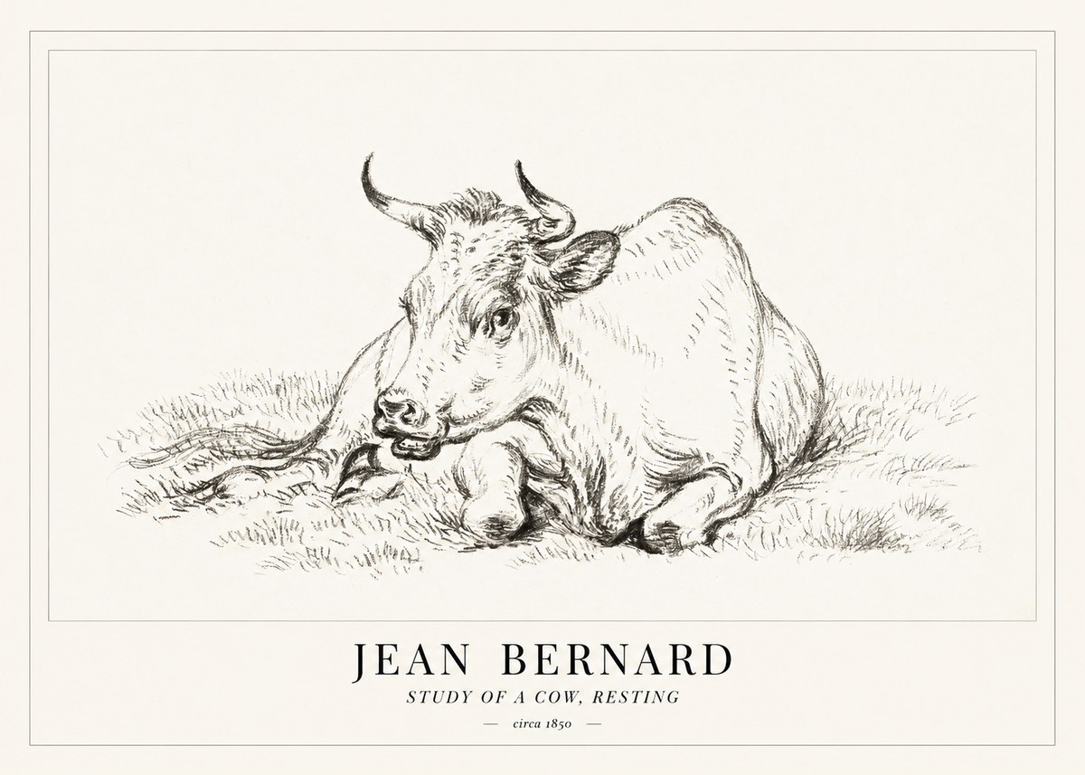 Jean Bernard Study of a Cow, Resting No1 - Affiche