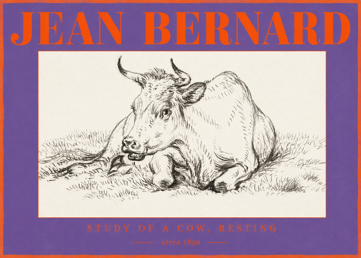 Jean Bernard Study of a Cow, Resting No2 - Affiche