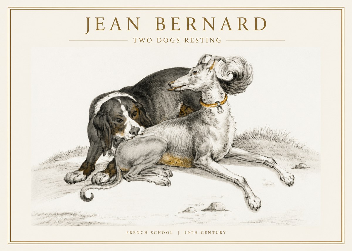 Jean Bernard Two Dogs Resting No1 - Affiche