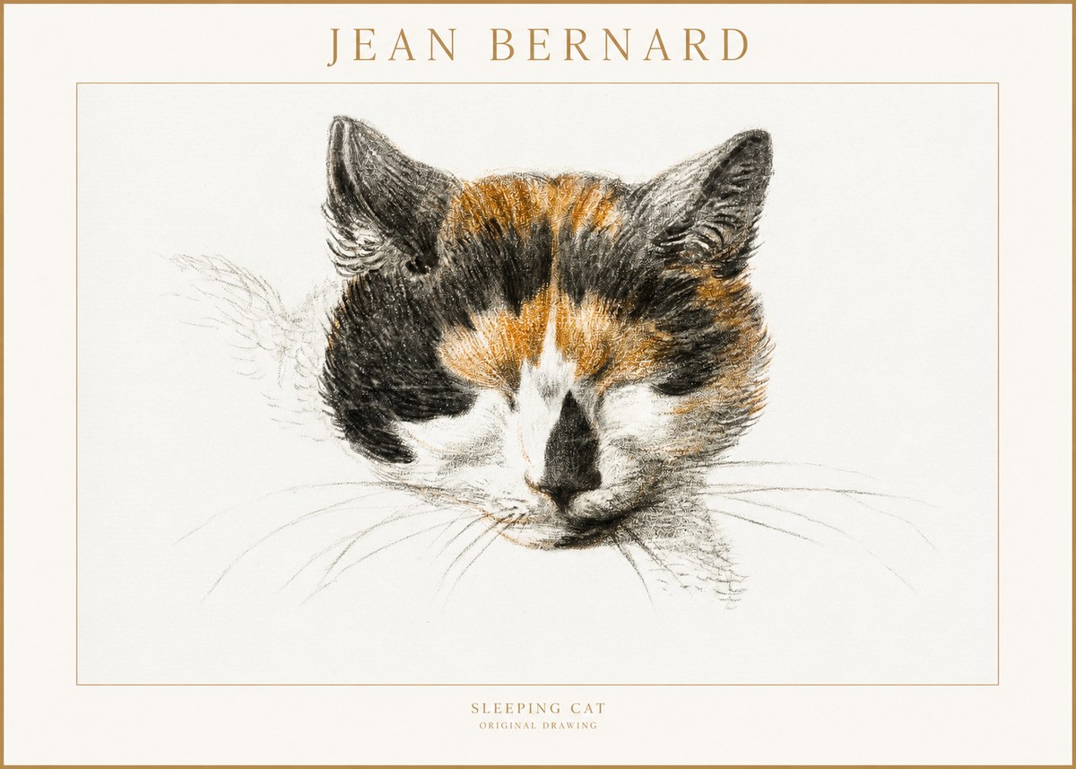 Jean Bernard Cat Study VIII No4 - Affiche