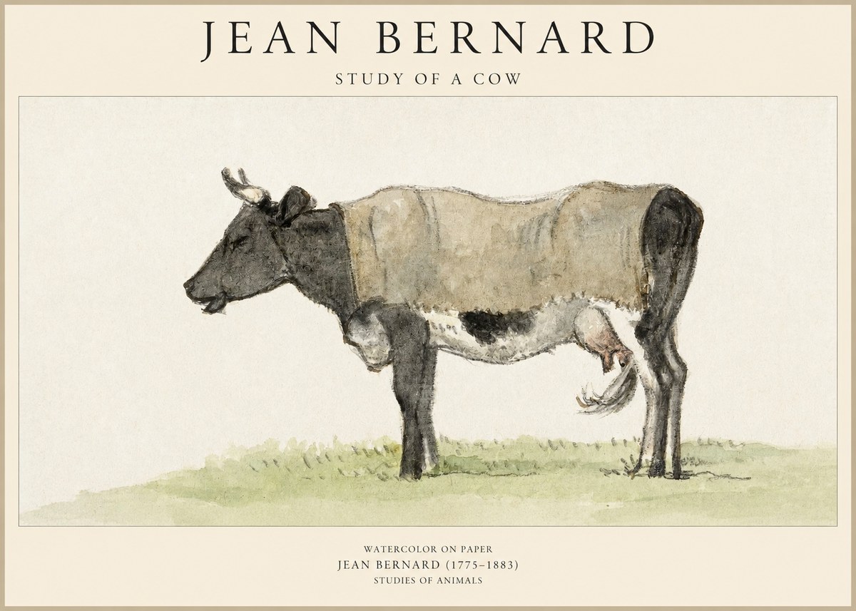 Jean Bernard Study of a Cow IX No6 - Affiche