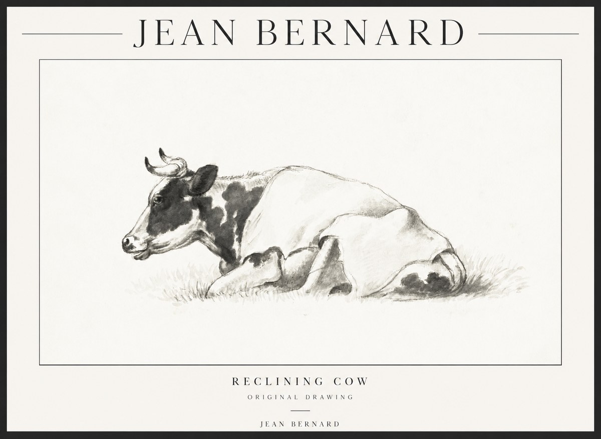 Jean Bernard Reclining Cow II No1 - Affiche