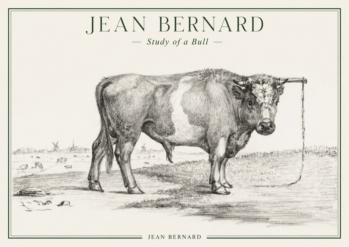Jean Bernard Study of a Bull III No1 - Affiche